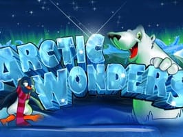 Arctic Wonders