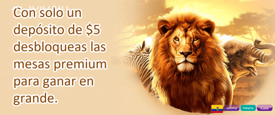 Ruleta de la Suerte 🎡 promotion
